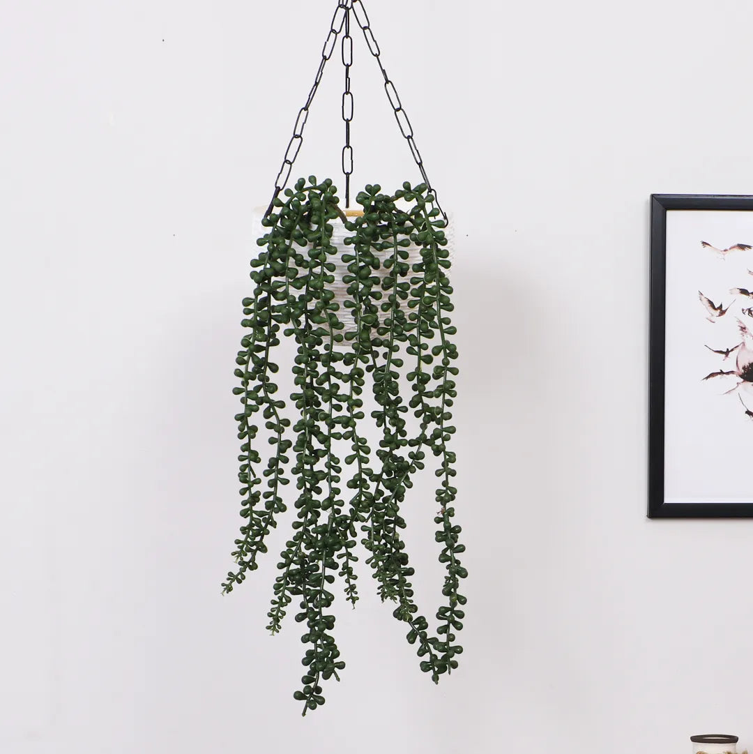Hanging String of Pearls Creeper - Artificial Plant