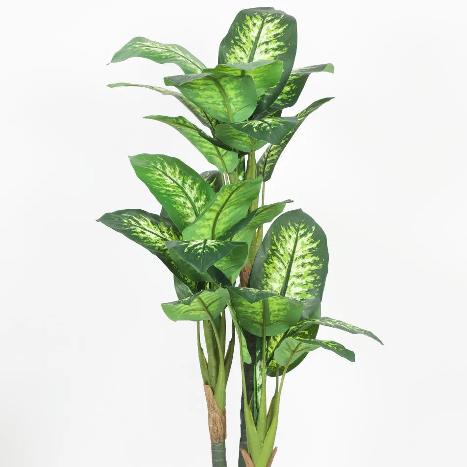 Elegant Dieffenbachia Plant with Pot - Artificial Plant