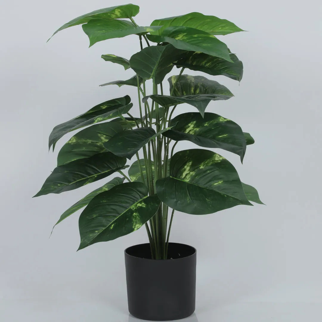 Photos Plant for Home and Office Decor - Artificial Plant