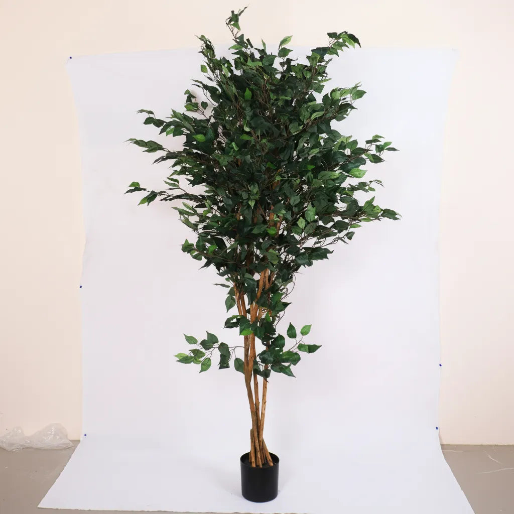 Ficus Plant with Pot for Home and Office Decor - Artificial Plant