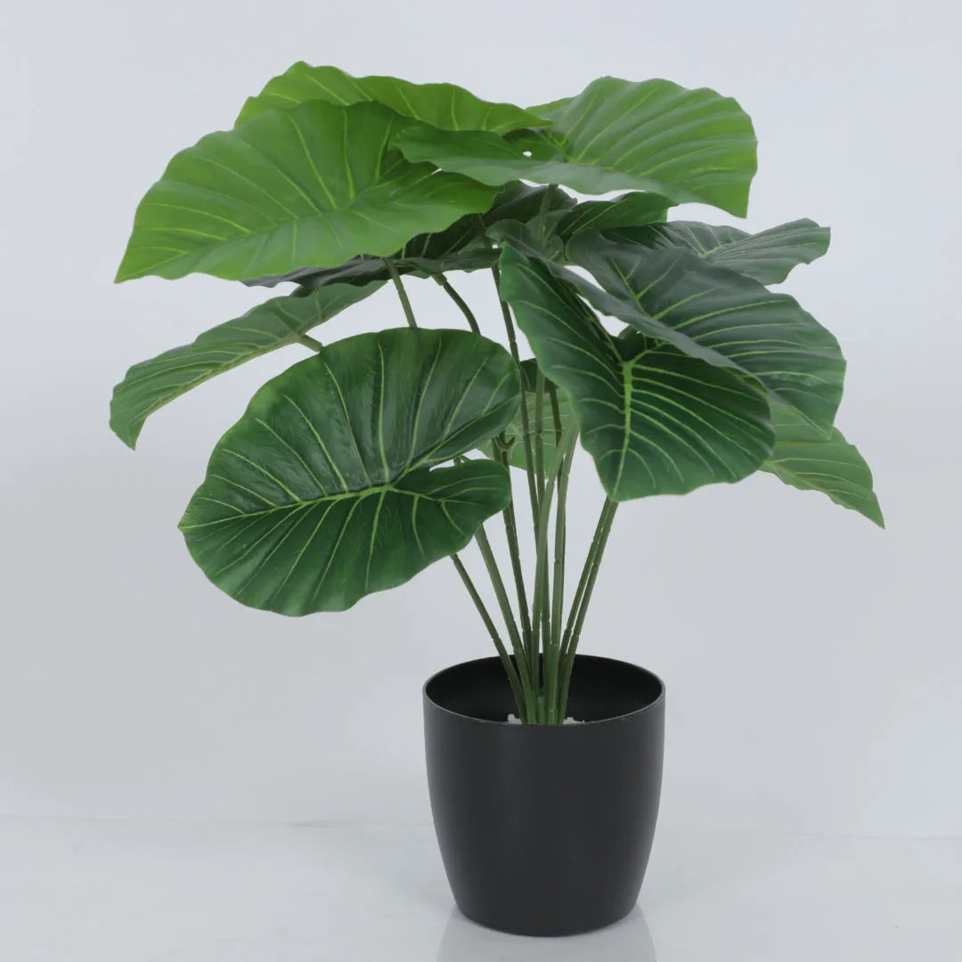 Mini Rubber Leaf Plant - Artificial Plant