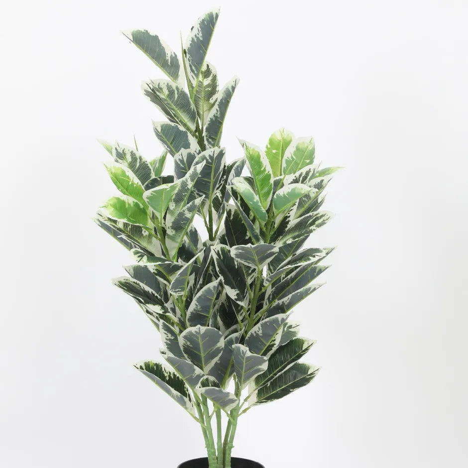 Andrew Croton Plant with Pot - Artificial Plant