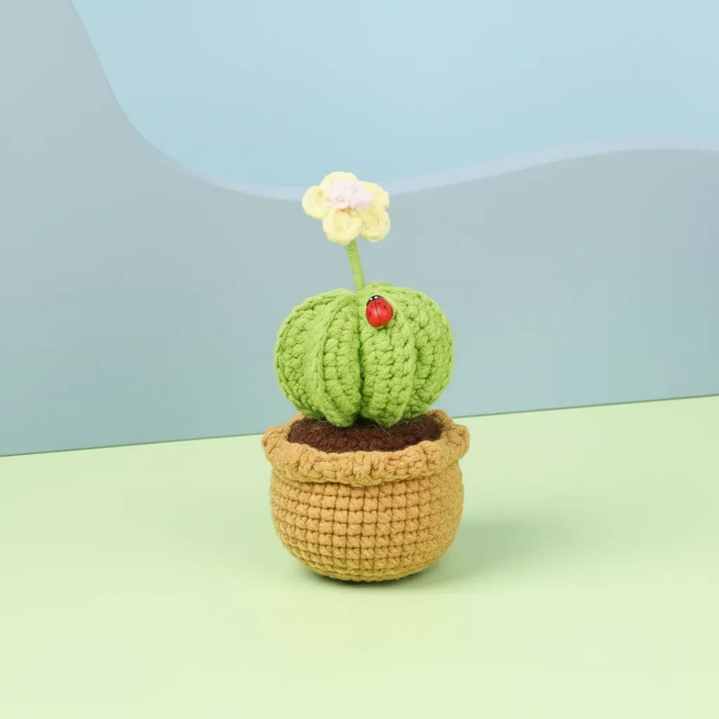 Crochet Potted Plants - Stylish Home Decor - Cactus