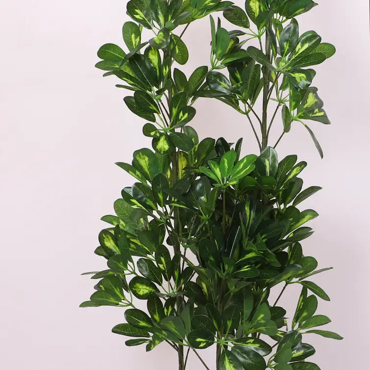 Schefflera Plant Tree with Pot for Interiors - Artificial Plant