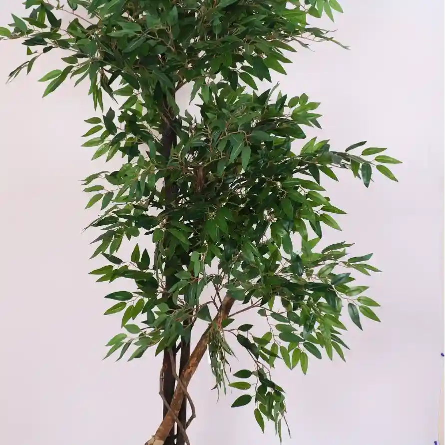 Ficus Plant Trees with Pot - Artificial Plant
