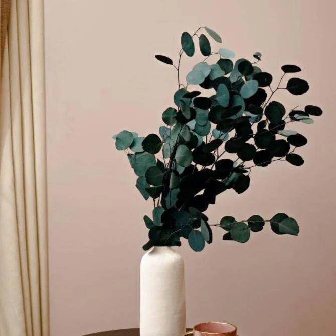 White Minimal Vase with Eucalyptus Plant Decor