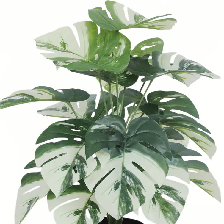 Natural Looking Monstera Plant with Pot - Artificial Plant