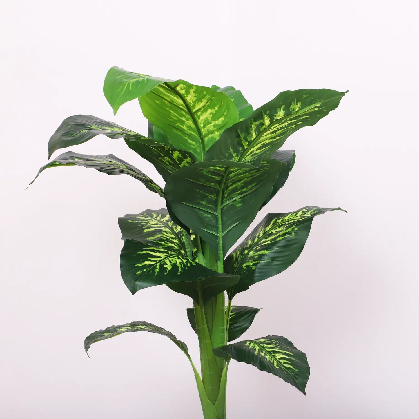 Dieffenbachia Plant Tree with Pot - Artificial Plant