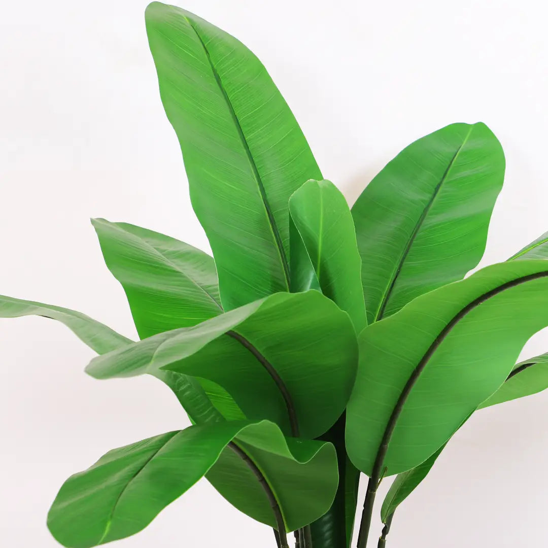Banana Plant Tree with Big Leaves and Pot - Artificial Plant