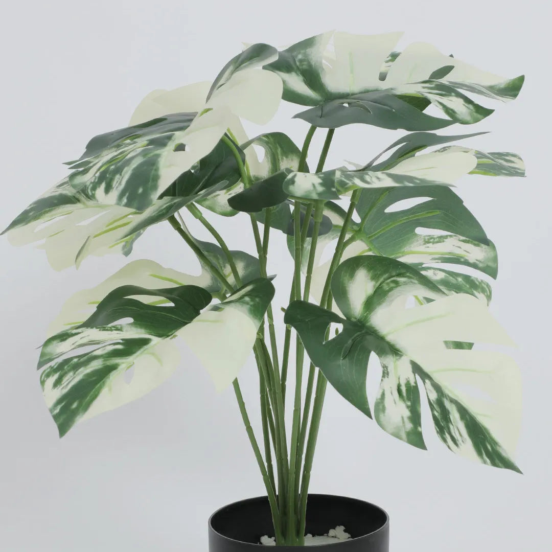 Compact Monstera Leaves Plant - Artificial Plant