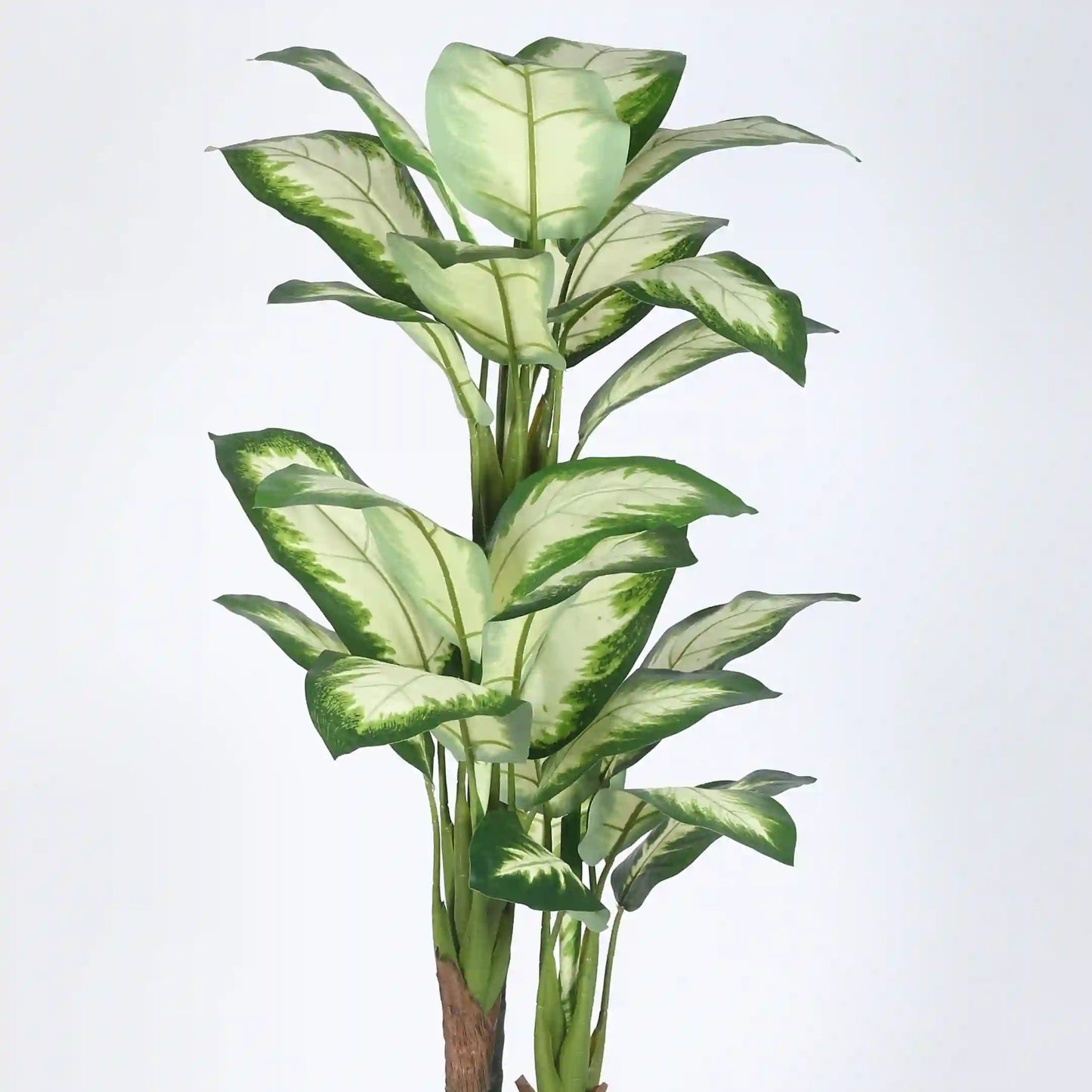 Natural Looking Dieffenbachia Decorative Plant - Artificial Plant