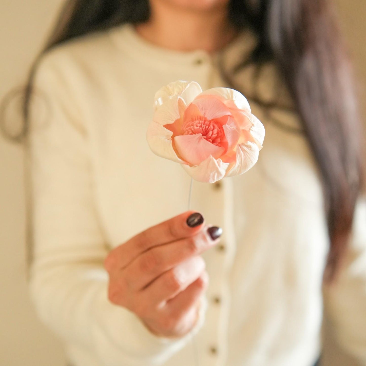 Dual Shade Sola Peony Dried Flower Bunch