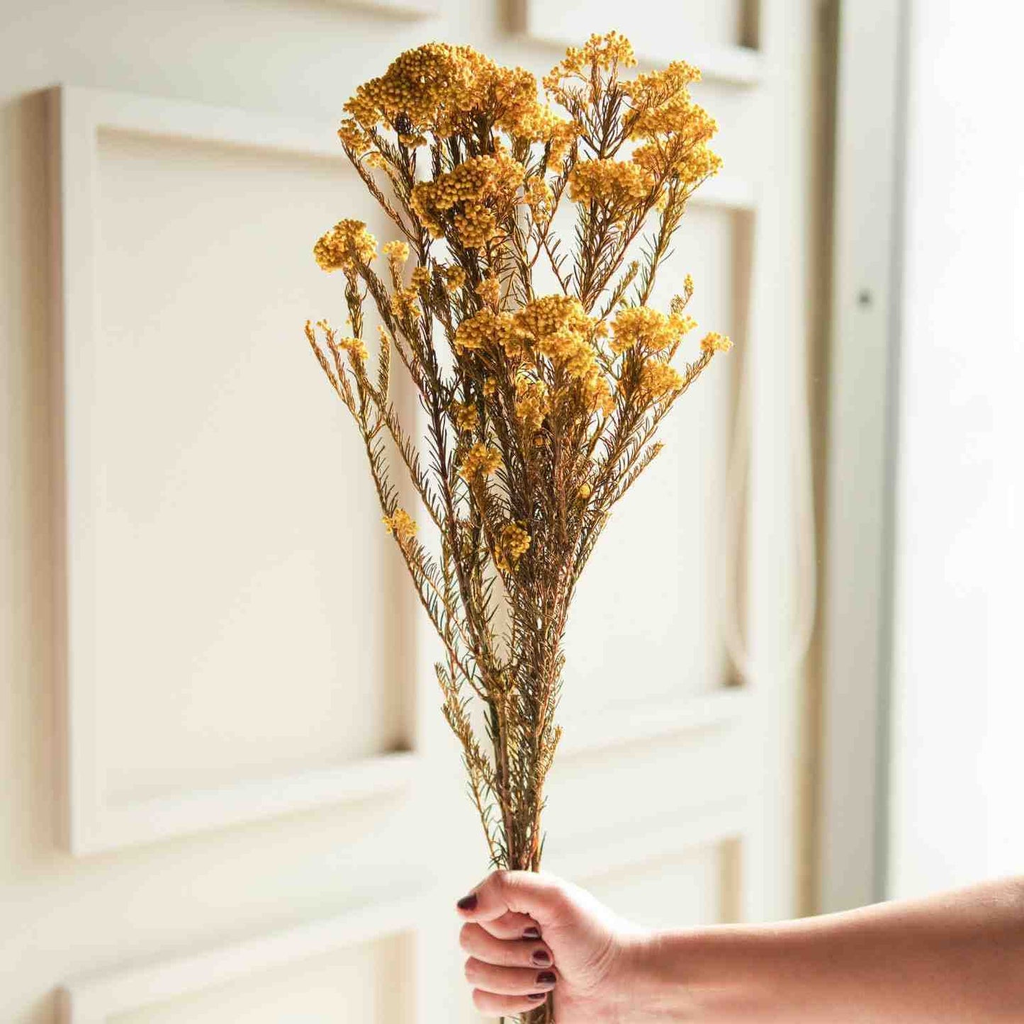 Rice Flower Dried Bunch Home Decor Accent