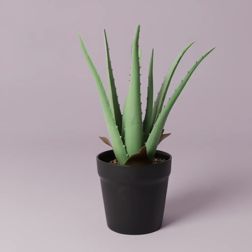 Faux Aloe Vera Bonsai Plant With Black Pot - Artificial Plant