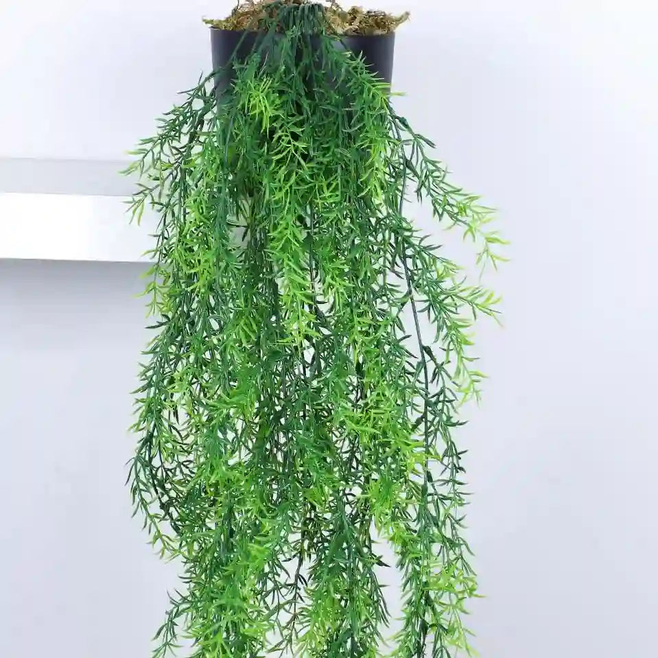 String of Pearls Hanging Plant for Living spaces - Artificial Plant