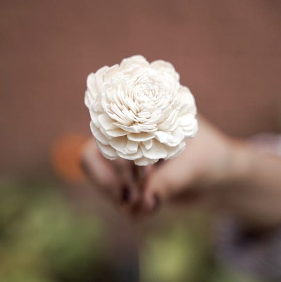 Golden & White Sola Dried Flowers Set for Vase Decor