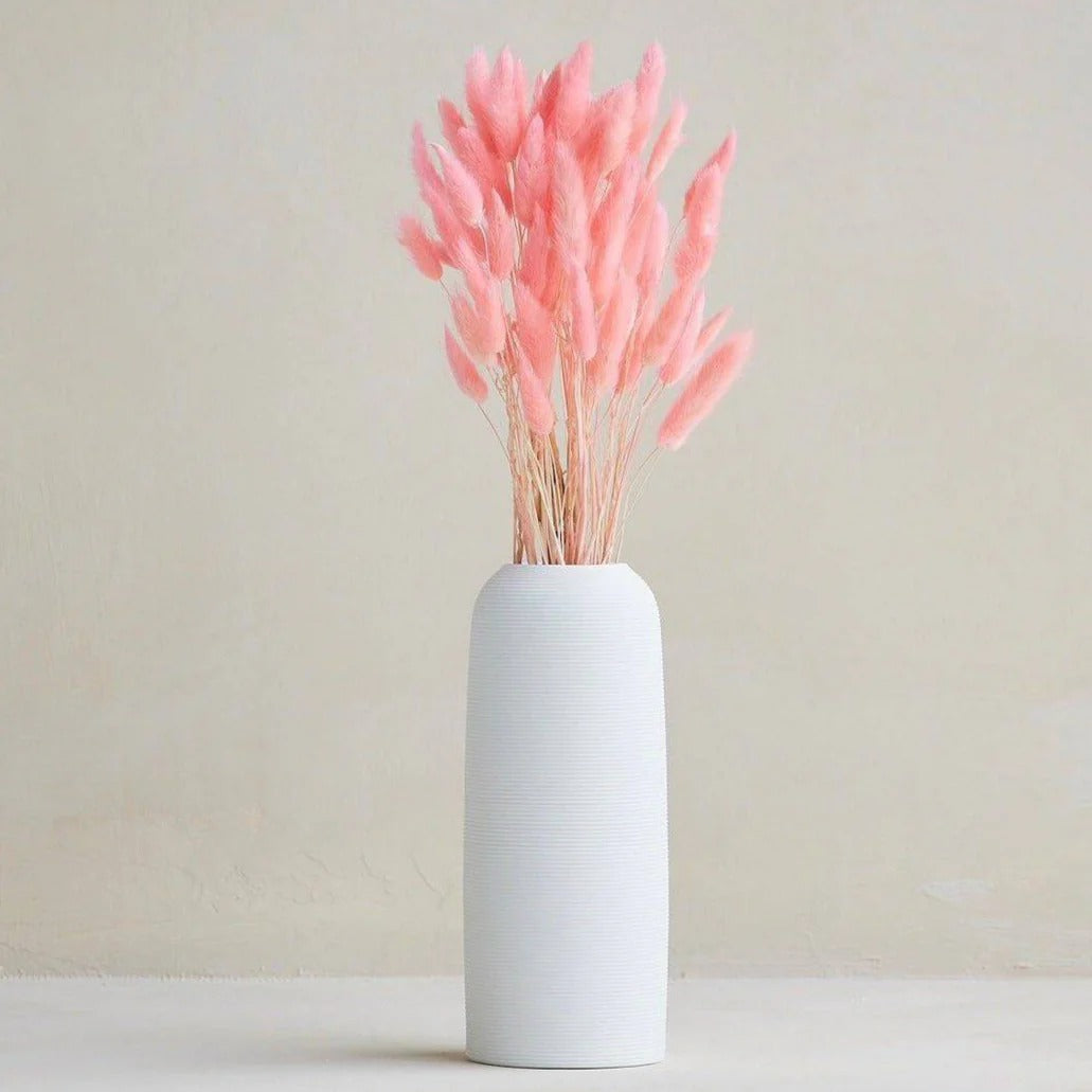 Natural Bunny Tail Dried Flowers for Home Decor
