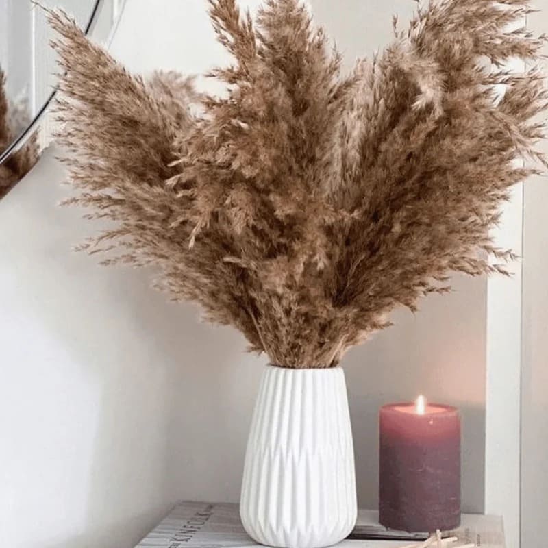 Brown XL Pampas Grass Stems - Modern Home Decor