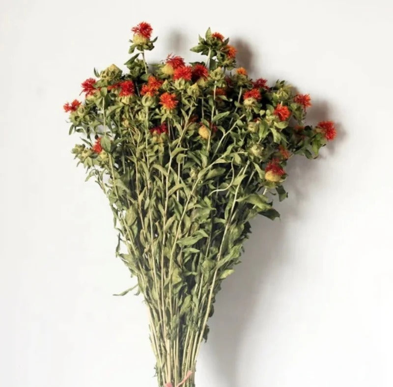 Dried Safflower Flower Bunch - Natural Home Decor