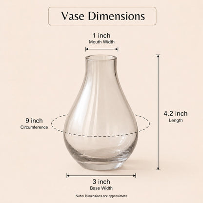 Midnight Bloom Dried Floral Glass Vase Decor