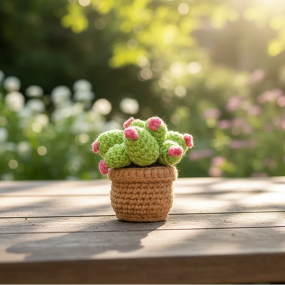 Crochet Potted Star Cactus Plant - Decorative Gift