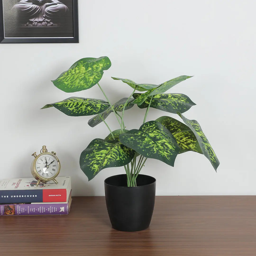 Dieffenbachia Plant with Pot - Artificial Plant