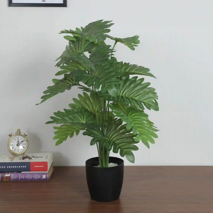 Guiana Chestnut Plant with Pot for Interior Styling - Artificial Plant
