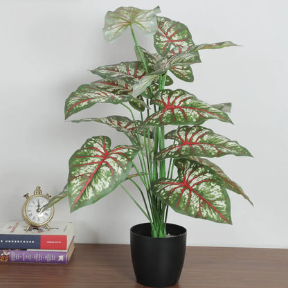 Tropical Caladium Leaf Plant with Pot - Artificial Plant