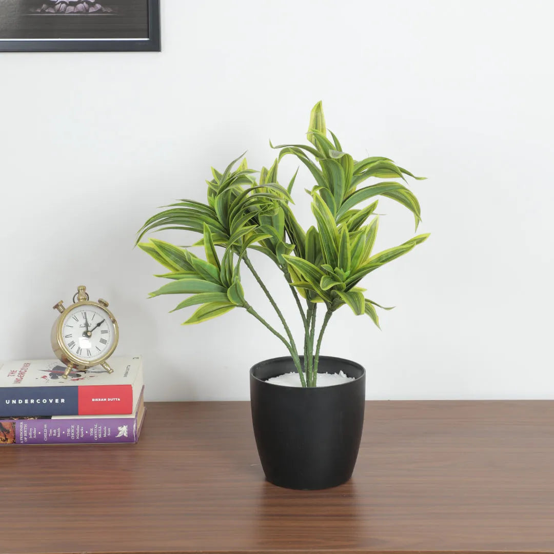 Dracaena Decorative Plant with Pot - Artificial Plant
