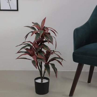Dracaena Reflexa Tree and Plant with Pot - Artificial Plant