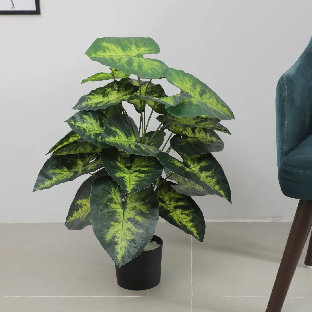Dieffenbachia Plant with Pot for Interior Styling - Artificial Plant