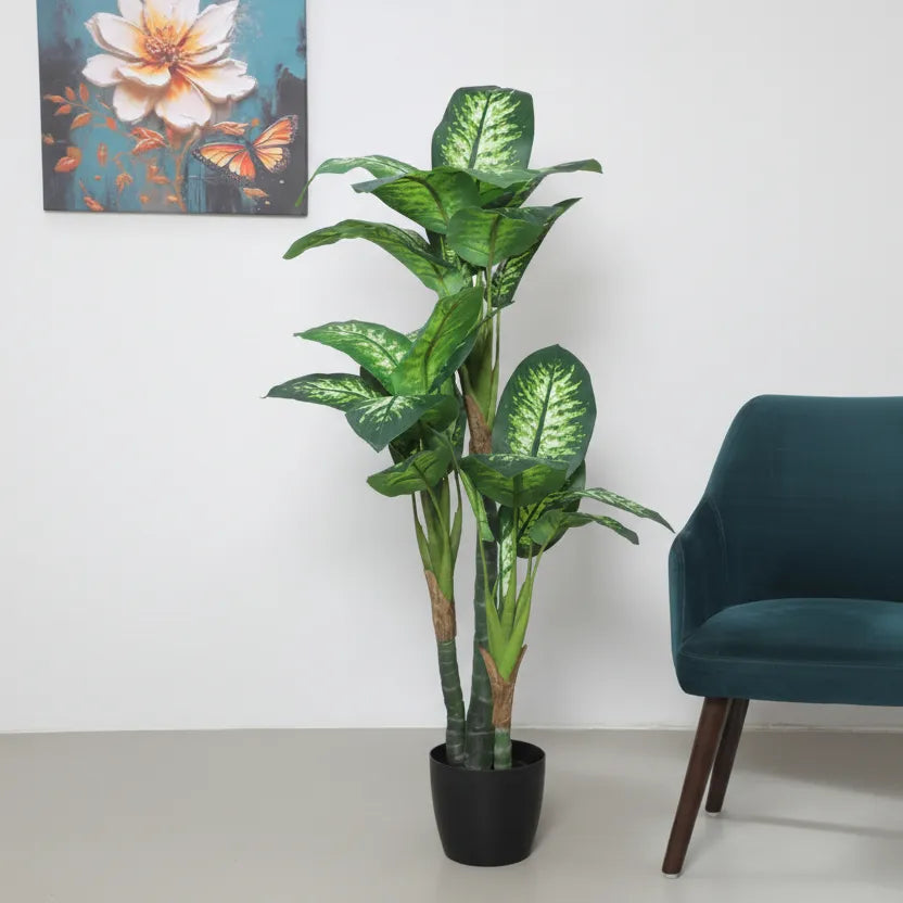 Elegant Dieffenbachia Plant with Pot - Artificial Plant