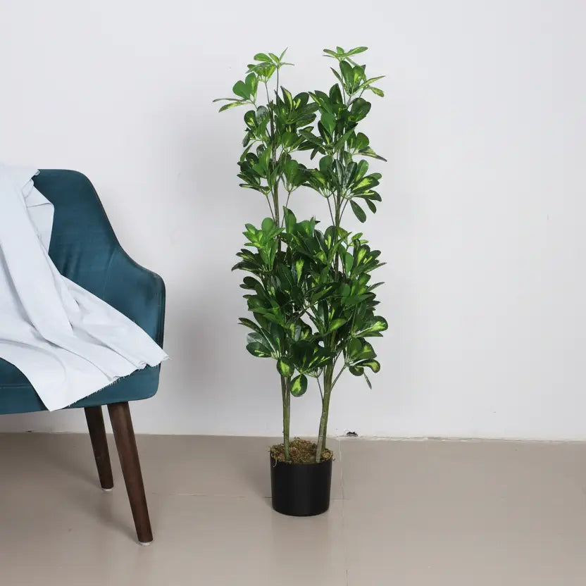 Schefflera Plant Tree with Pot for Interiors - Artificial Plant