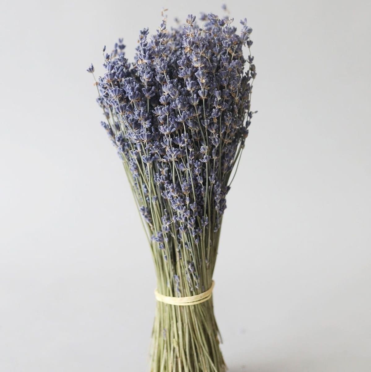 Natural Dried Fragrance Lavender Flower Bunch - 40 Stems
