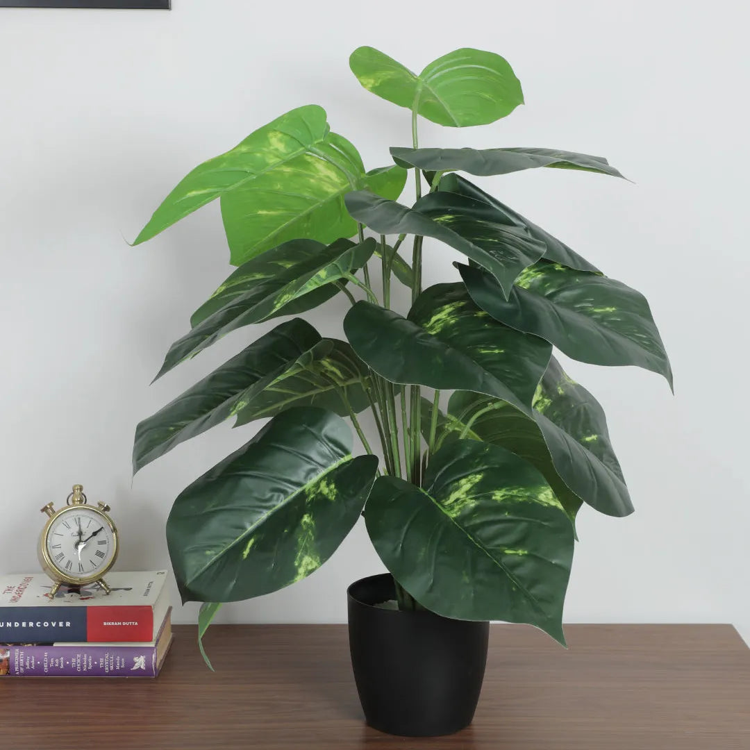 Photos Plant with Pot for Decor - Artificial Plant