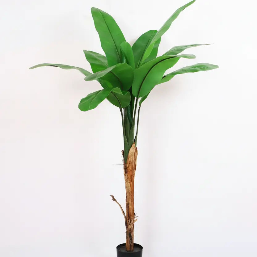 Banana Plant Tree with Big Leaves and Pot - Artificial Plant