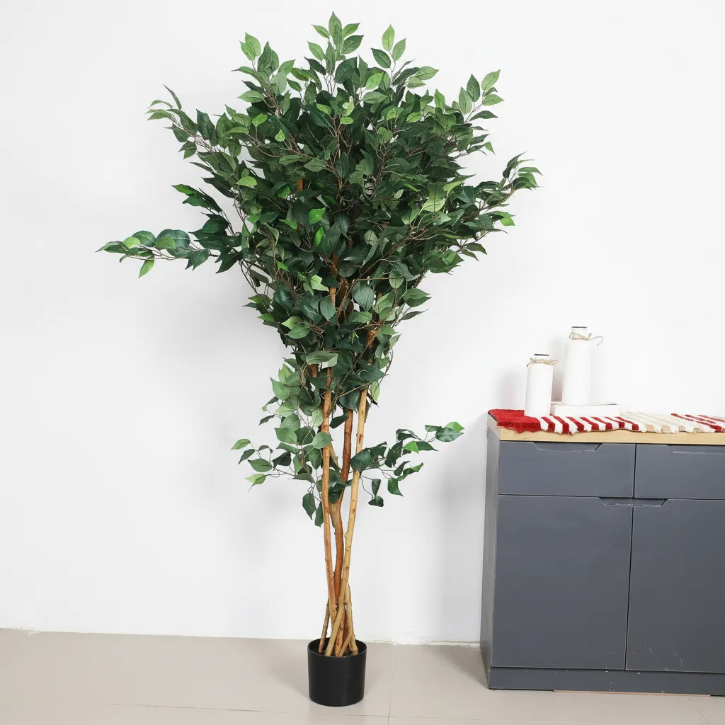 Ficus Plant with Pot for Home and Office Decor - Artificial Plant