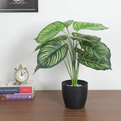 Tarbooj Leaf Plant for Decor - Artificial Plant