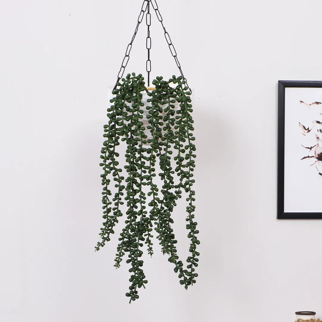 Hanging String of Pearls Creeper - Artificial Plant