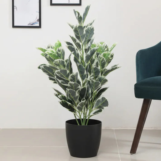 Andrew Croton Plant with Pot - Artificial Plant