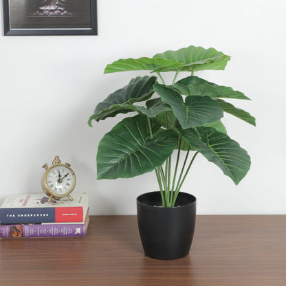 Mini Rubber Leaf Plant - Artificial Plant