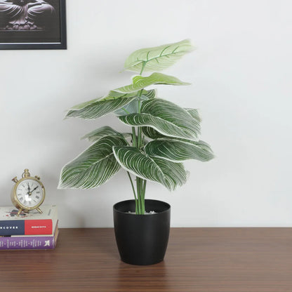 Dieffenbachia Leaf Decor Accent Plant - Artificial Plant