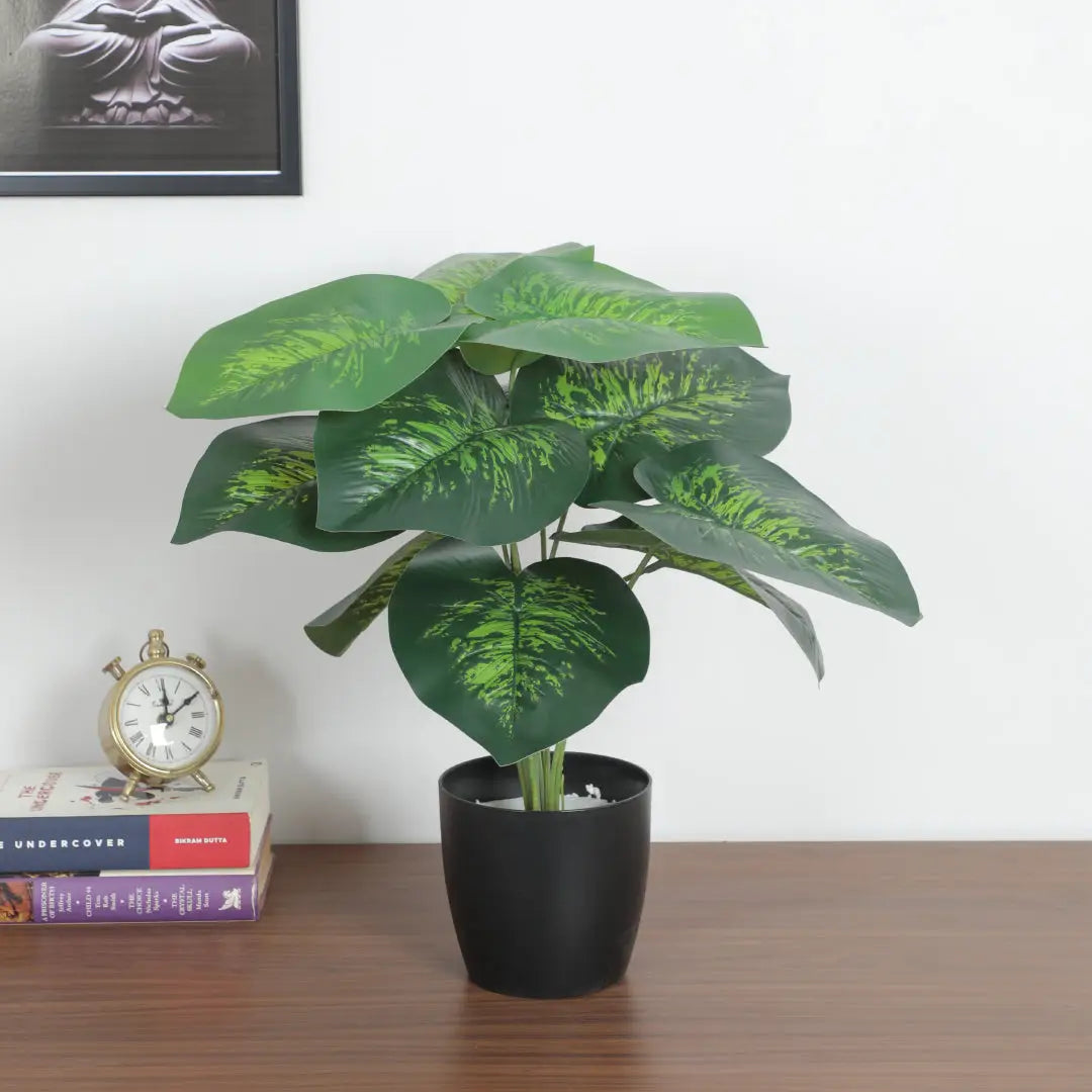 Mini Dieffenbachia Plant with Pot for Decor - Artificial Plant
