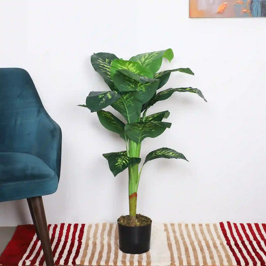 Dieffenbachia Plant Tree with Pot - Artificial Plant