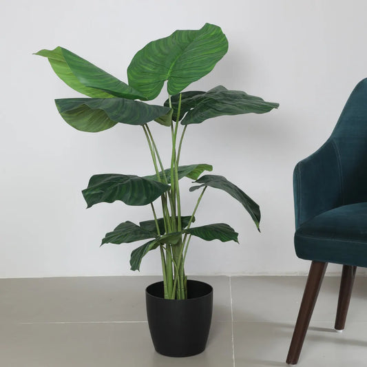 Anubias Indoor Outdoor Plant with Pot - Artificial Plant