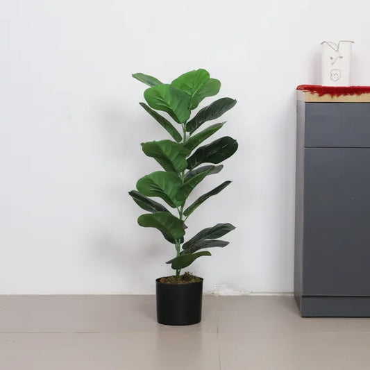 Fiddle Leaf Fig Plant for Interiors - Artificial Plant