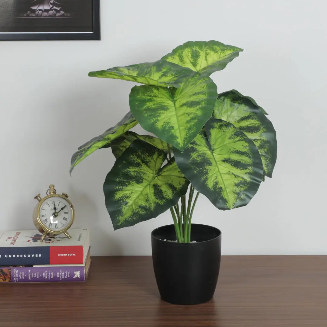 Compact Dieffenbachia Plant with Pot for Decor - Artificial Plant