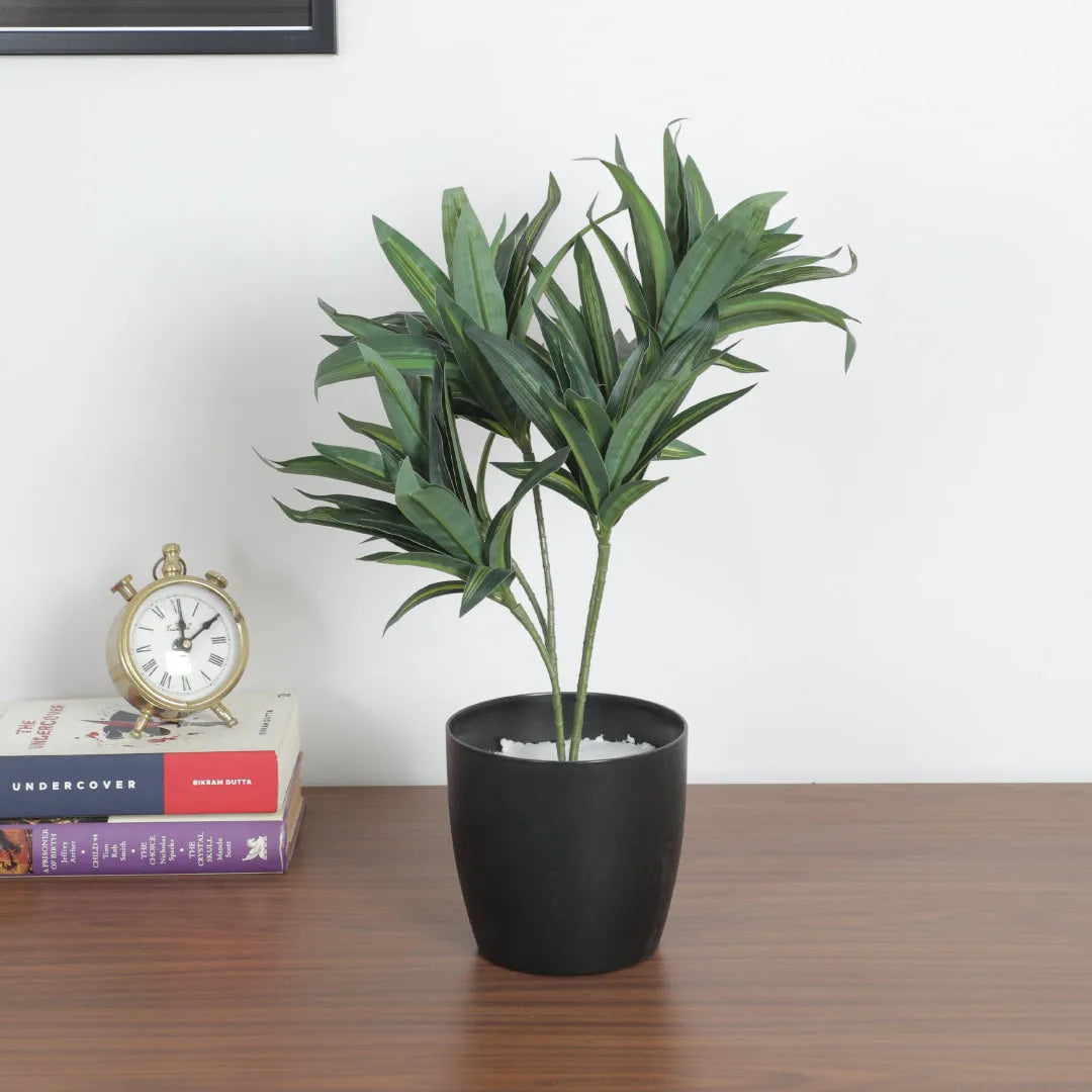 Dracaena Decorative Plant with Pot - Artificial Plant