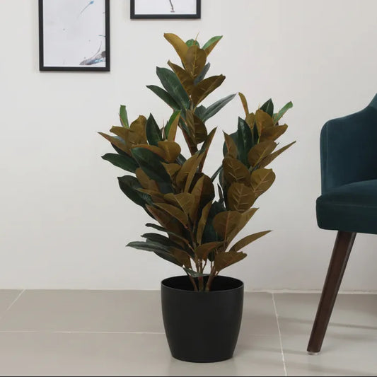 Rubber Plant with Pot for Home and Office Decor - Artificial Plant