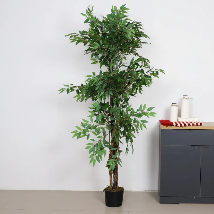 Ficus Plant Trees with Pot - Artificial Plant